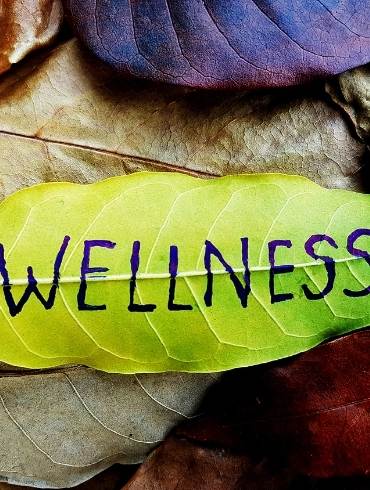 The Wellness Leaf